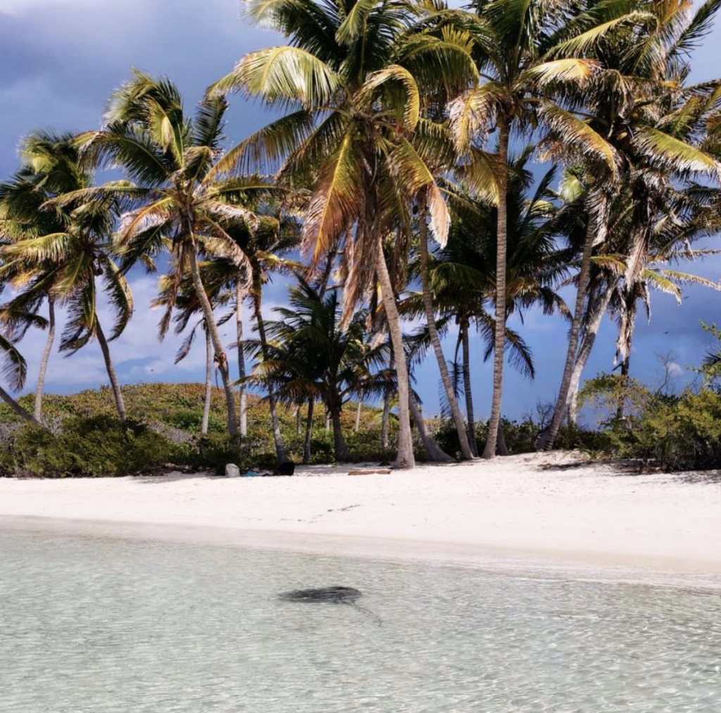 How to live more eco-friendly - Beach