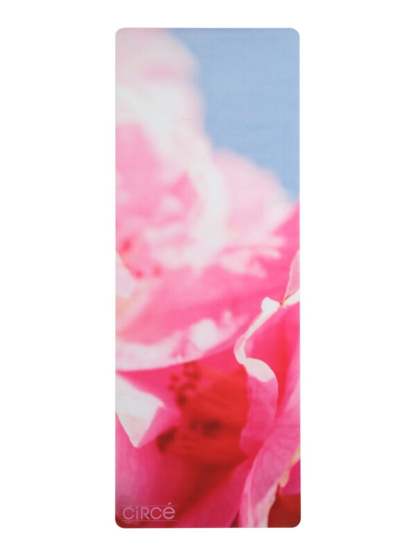 Summer Dream