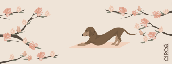 Harry the Yogi yoga mat