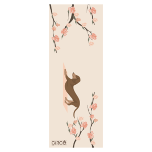 Best yoga mat
